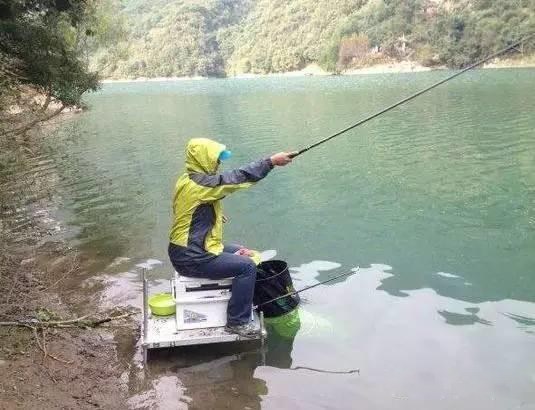 钓鱼总是有小鱼闹窝怎么解决,上层小鱼闹窝解决办法