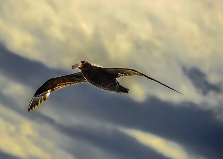 嗨哩文旅丨在世界的尽头的九个日日夜夜