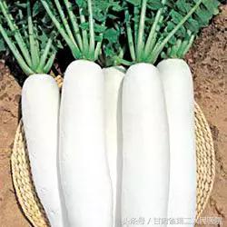 岭南名医咳嗽验方,虚劳咳嗽药膳方剂