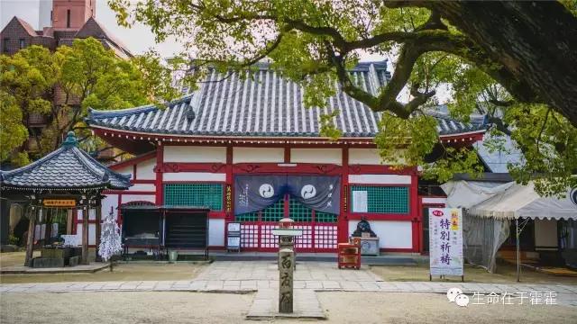 拉面 · 自动贩售机 · 雪｜云之彼岸的日本欢脱之旅