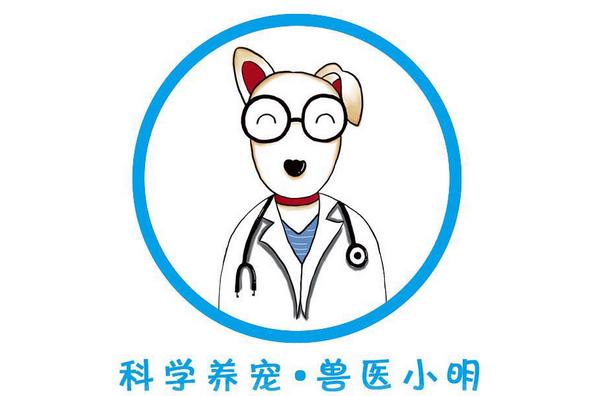 养了假的萨摩耶,怎么挑选萨摩耶不会被骗