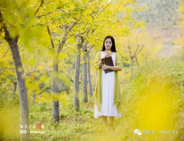 以二十四节气之名，诠释梅州之美