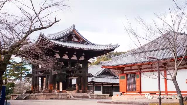 拉面 · 自动贩售机 · 雪｜云之彼岸的日本欢脱之旅