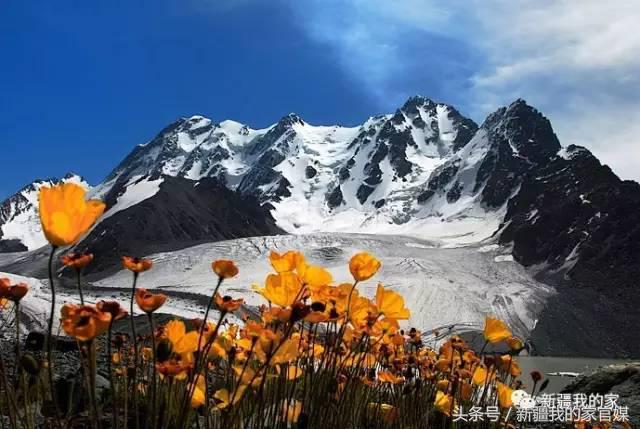 全国各省：我出上联！*疆新**丫头：我对下联！太有才了！