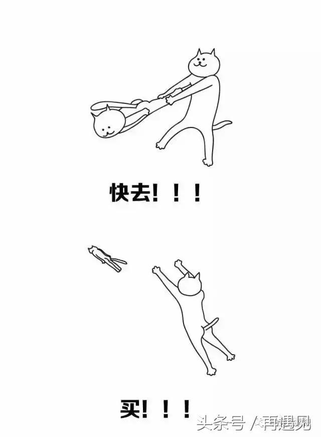 帕劳旅游物价视频,帕劳真正的物价