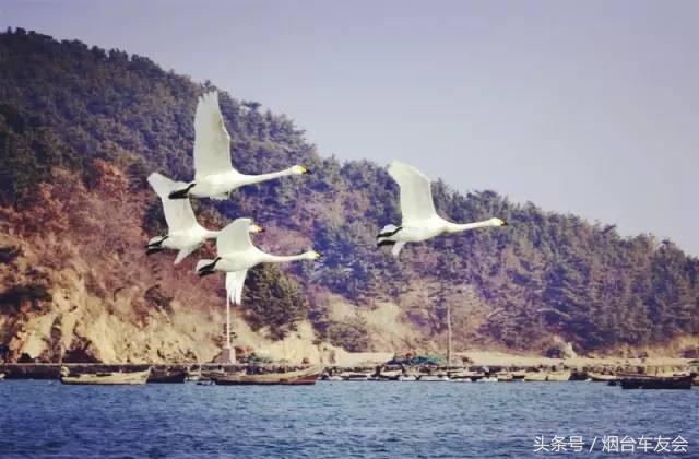 烟台出发自驾五六天,烟台站出发烟台旅游攻略