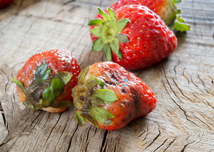 感染引起糖尿病,糖尿病患者易发生各种感染的原因