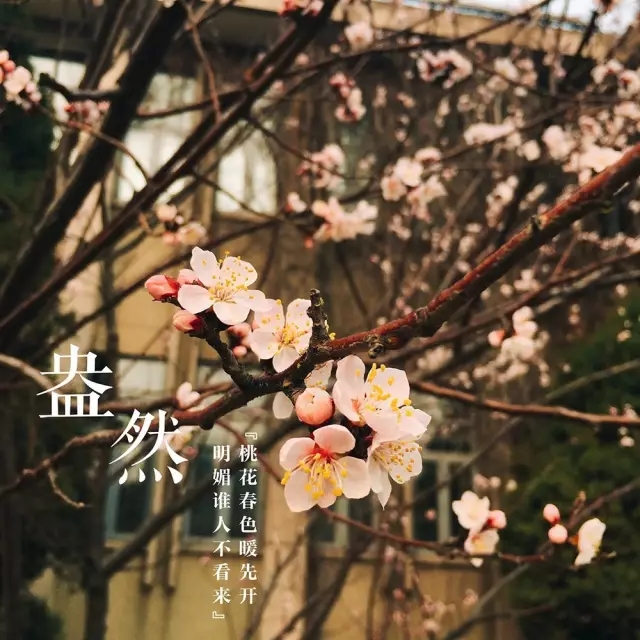 <html>
<head><title>502BadGateway</title></head>
<body>
<center><h1>502BadGateway</h1></center>
<hr><center>nginx</center>
</body>
</html>
<!--apaddingtodisableMSIEandChromefriendlyerrorpage-->
<!--apaddingtodisableMSIEandChromefriendlyerrorpage-->
<!--apaddingtodisableMSIEandChromefriendlyerrorpage-->
<!--apaddingtodisableMSIEandChromefriendlyerrorpage-->
<!--apaddingtodisableMSIEandChromefriendlyerrorpage-->
<!--apaddingtodisableMSIEandChromefriendlyerrorpage-->
