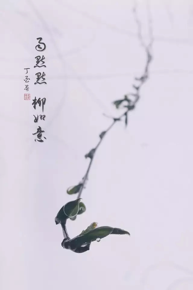 <html>
<head><title>502BadGateway</title></head>
<body>
<center><h1>502BadGateway</h1></center>
<hr><center>nginx</center>
</body>
</html>
<!--apaddingtodisableMSIEandChromefriendlyerrorpage-->
<!--apaddingtodisableMSIEandChromefriendlyerrorpage-->
<!--apaddingtodisableMSIEandChromefriendlyerrorpage-->
<!--apaddingtodisableMSIEandChromefriendlyerrorpage-->
<!--apaddingtodisableMSIEandChromefriendlyerrorpage-->
<!--apaddingtodisableMSIEandChromefriendlyerrorpage-->
