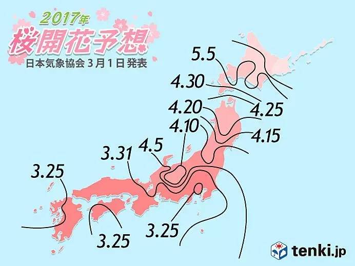 Hi，樱花季你好，原来你的「CP」在这里~