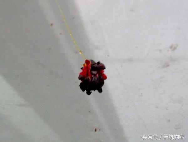 快速避小鱼,避小鱼的方法