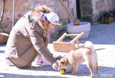 盘点向往的生活何炅高情商场面,何炅向往的生活爆料