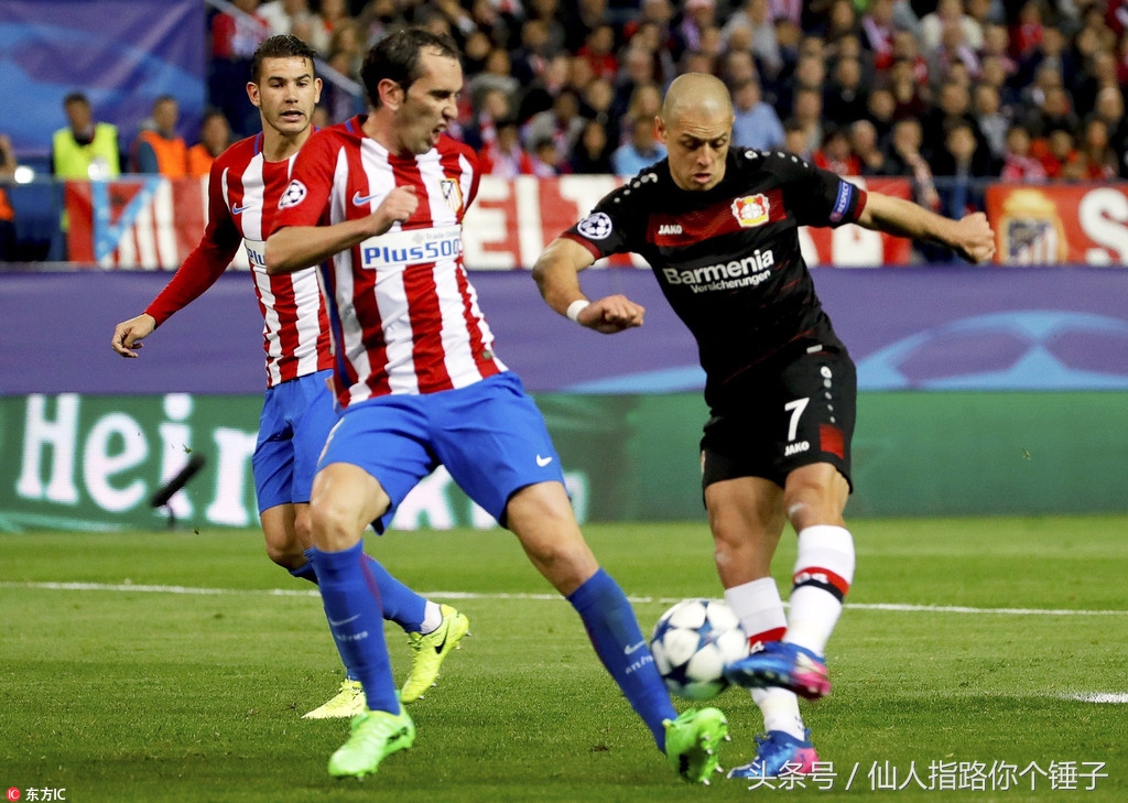 仙人指路股票指标,仙人指路最新推荐