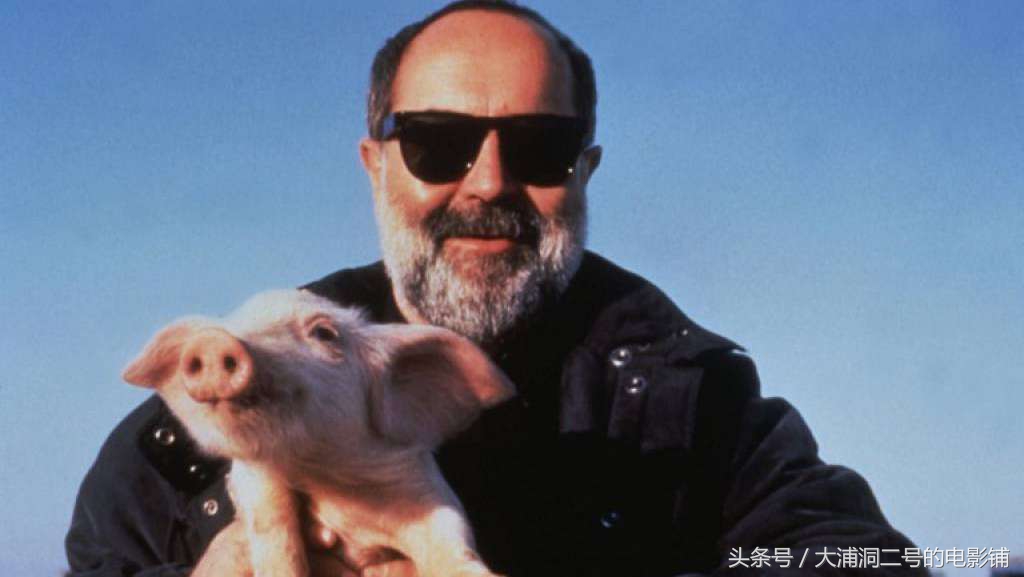 不平凡的感人电影,回顾不平凡的电影