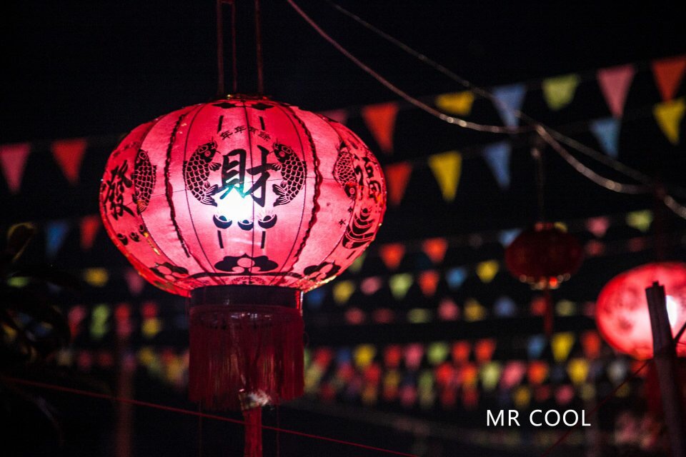 瑞安马屿曹村田园视频,瑞安马屿曹村田园风景图