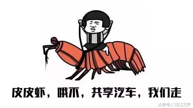 武汉燃油共享汽车有哪些,沌口有没有共享汽车