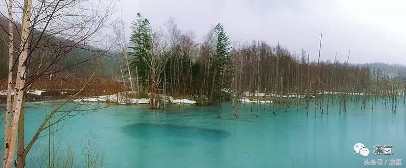 去日本自由行最好的攻略,去日本自由行攻略详细