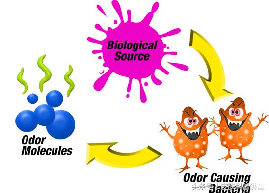 夏天腋臭怎么去除最快,祛除腋臭最彻底的治疗方法