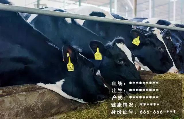 被央视通报过的奶粉品牌,被央视点名的网红奶茶