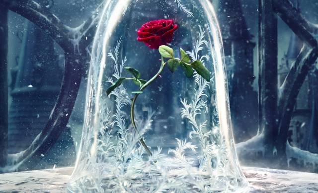 美女与野兽|天生法令纹只能靠整容吗?那是因为你没看这篇!