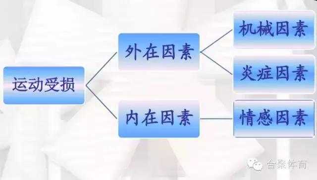 什么是关节松动术,内脏松动术手法