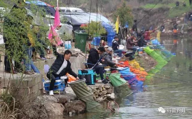 慈利县钓鱼比赛,湖南钓鱼比赛湘窖杯冠军