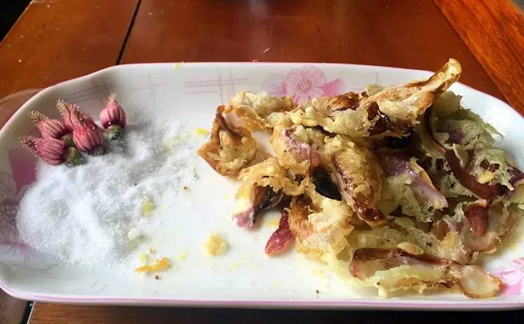 舌尖上的春天你推荐哪一道,舌尖上的春天你不能错过的美食