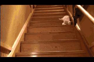 女朋友爱唠叨如何调整心态,有一个爱叨叨的老婆子怎么办