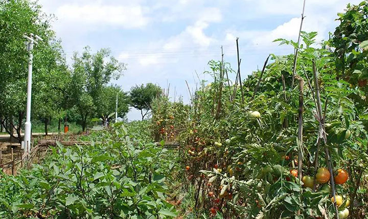 精选:武汉周边小众旅行地,田园生活美成诗!