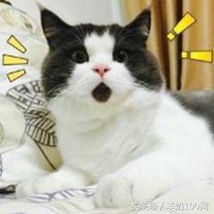 黑心母婴店卖奶粉事件,2019查出的进口婴儿奶粉有毒