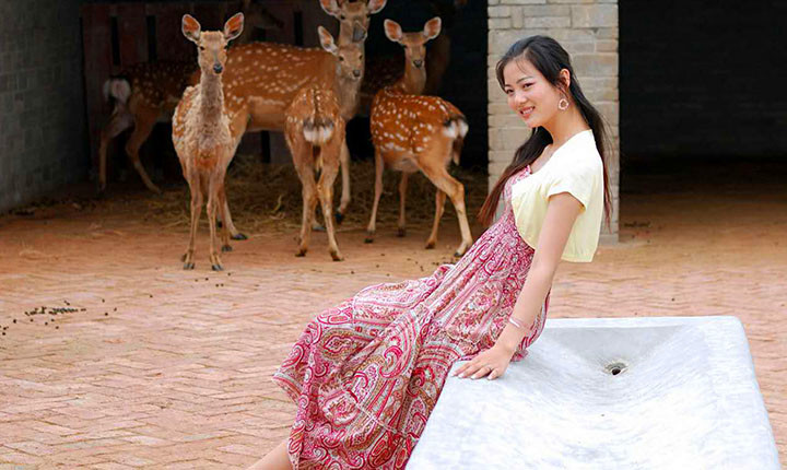 精选:武汉周边小众旅行地,田园生活美成诗!