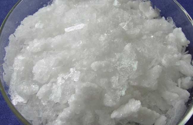 它们都是鼻炎的克星，但很多人都不认识它们，更不知道它们的用处