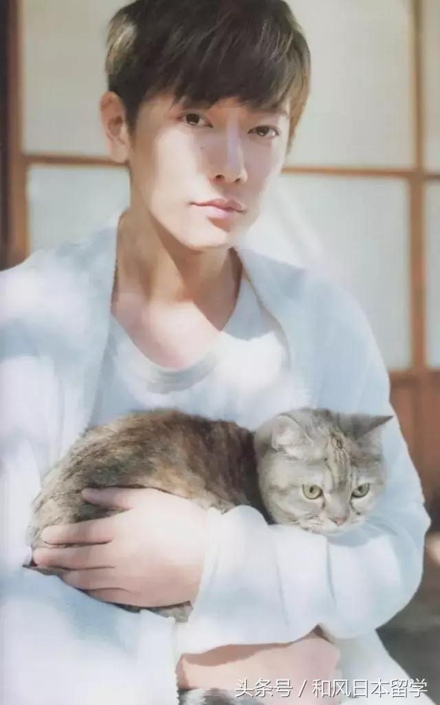 佐藤健在日本女性心中的地位,佐藤健颜值巅峰图片