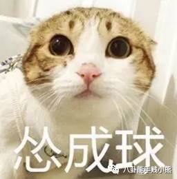 陈伟霆微商代言什么,陈伟霆代言有多少个