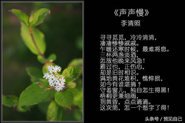 小楼一夜听春雨的下半句是什么,小楼一夜听春雨什么意思