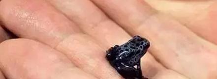 这些东西比鬼还可怕，而且任何人都有可能遇到！