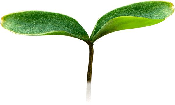 爱做手工的女孩优势,那个爱做手作的女孩