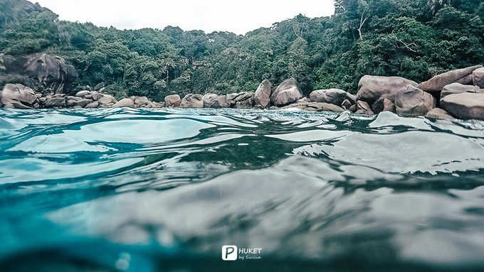 每当海岛又下起了雨,每当海岛又下起了雨读书笔记