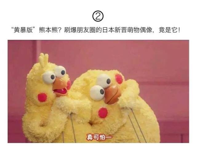 英国女王背双肩包,英国女王的爱马仕包包