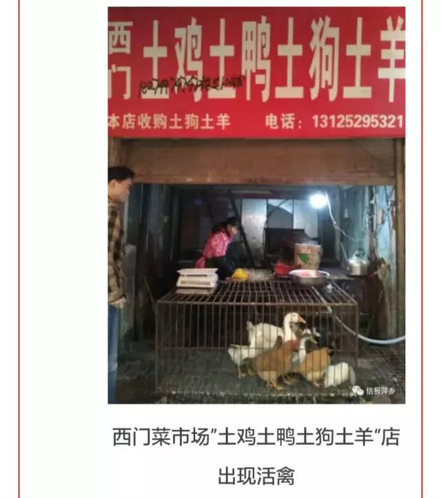 江西今日新增病例最新通报,江西新增确诊病例54例