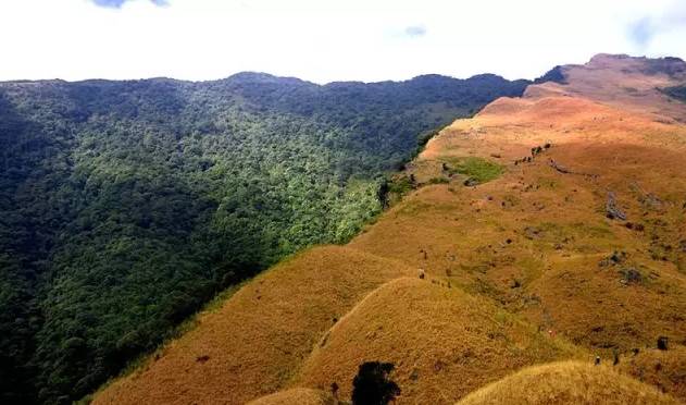 边境小城崇左的这些世界级美景,崇左市区旅游必去十大景点有哪些