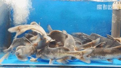 前方高能！魔都首家生态火锅店，在阳光房里吃出今年流行色~