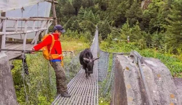 探路者斜挎包小包,探路者登山背包小包