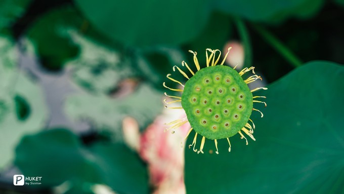 每当海岛又下起了雨,每当海岛又下起了雨读书笔记
