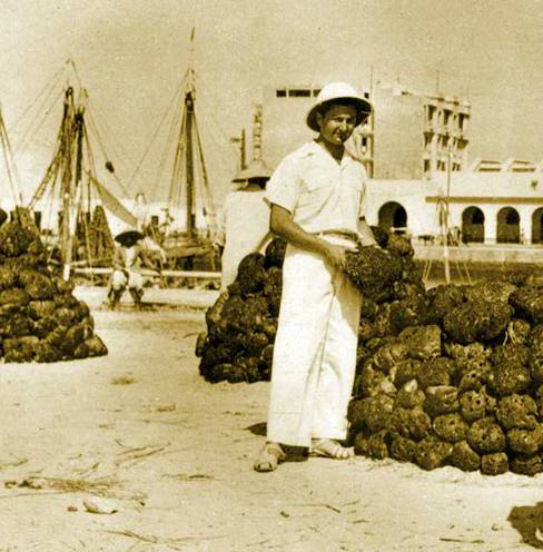 8.7免费皮肤福利,8月份福利皮肤