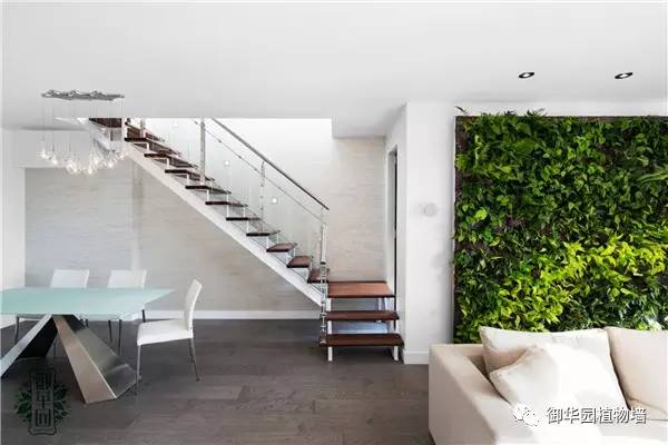 禅意风植物墙,特色植物墙