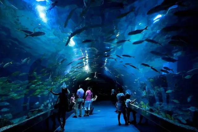 别去韩国了，去了天津，就等于去了全世界，不信你看！