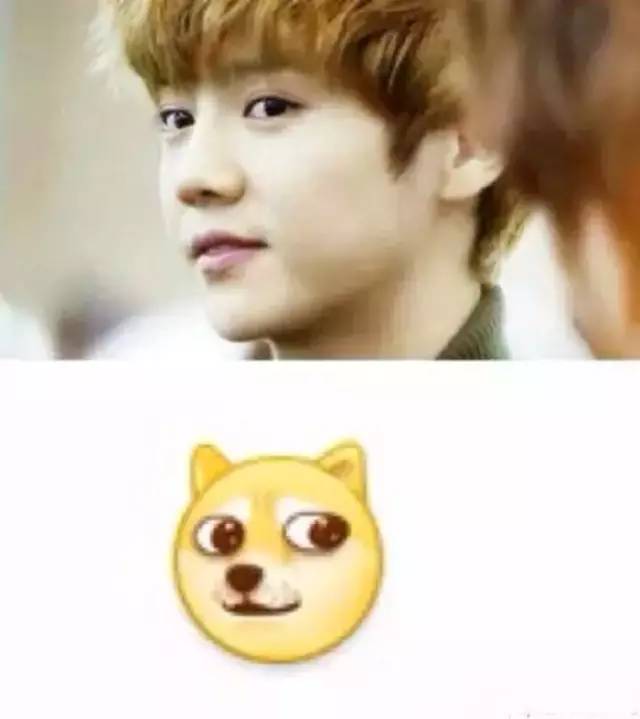 抖森表情包上线~老干部鹿晗,不呆萌张艺兴,脸部失控的胡歌,花痴赵丽颖……差点认不出管理不住自己表情的爱豆们!