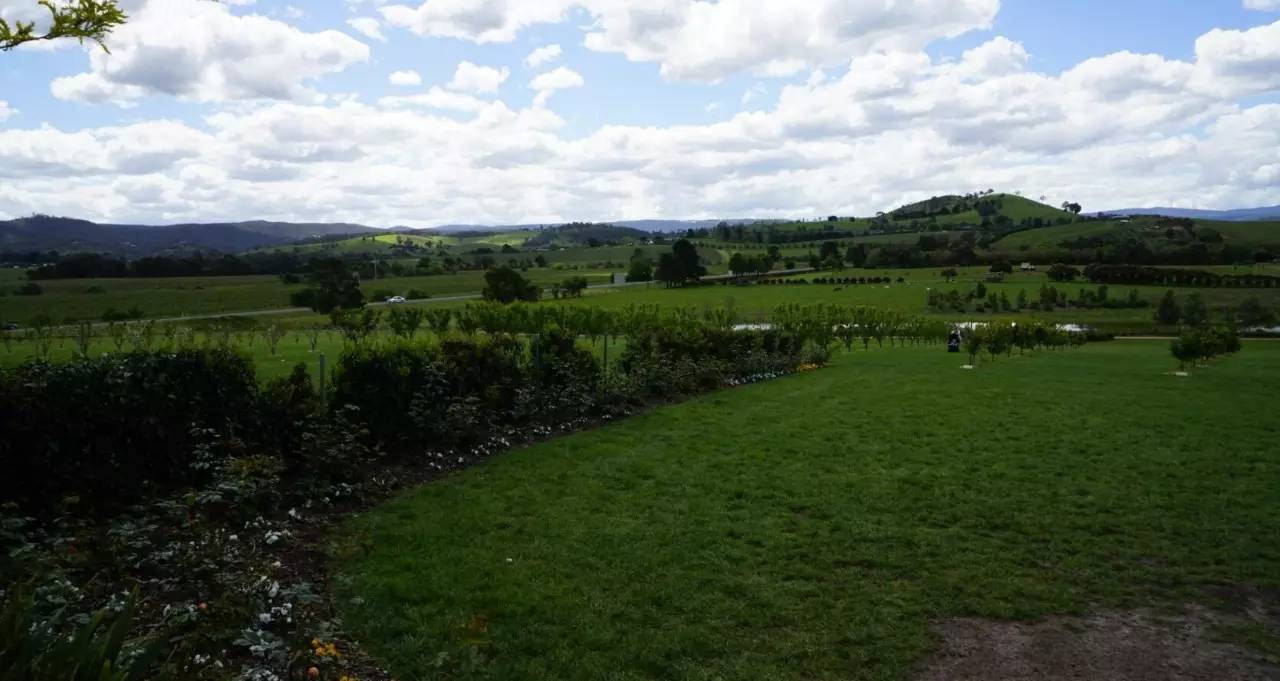 图说：在澳洲的日常（2）｜陈秋平