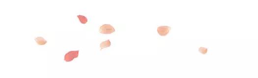 2020年国家公派研究生项目录取,国家公派留学研究生项目